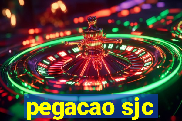 pegacao sjc